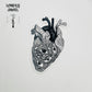 Anatomical Heart Temporary Tattoo 4"