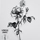 Wildflower Temporary Tattoo 4”
